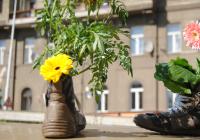 Guerrilla gardening v Praze