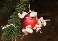 Vánoční strom pro zvířata - Zoo Olomouc
