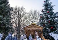 Rozsvícení vánočního stromu 2023 v Zoo Praha