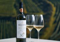 Salon vín ve Valticích – ochutnejte 100 našich nejlepších vín pro rok 2023 