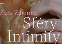 Vernisáž výstavy Sféry intimity / Zlata Ziburova