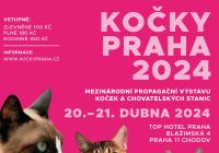 Kočky Praha