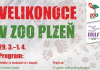 Velikonoce 2024 v Zoo Plzeň