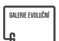 Galerie Evoluční - Current programme