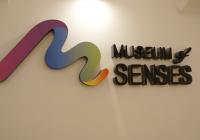 Muzeum smyslů - Current programme