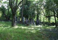 Nový židovský hřbitov, Švihov - přidat akci