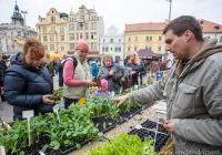 Farmářské trhy 2024 v Plzni