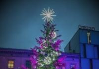 Rozsvícení vánočního stromu v Brně