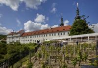 Vinice pod Strahovským klášterem - Add an event