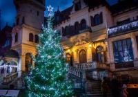 Rozsvícení vánočního stromu v Zoo Zlín