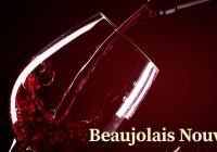 Beaujolais vs. Svatomartinské Wine & Food Festival 