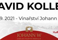 David Koller - Třebívlice - Hudba na vinicích