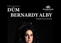 LIVE stream - Dům Bernardy Alby