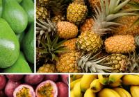 Exotické ovoce v Liberci