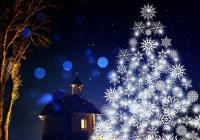 Rozsvícení vánočního stromu - Brno Černovice