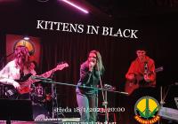 Kittens in Black - indie and alternative rock