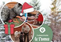 Vánoční krmení zvířátek ve Farmaparku u Toma