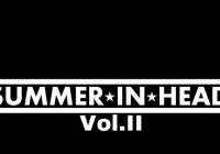 Koncert kapely Summer in Head vol II