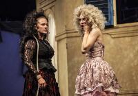 Letní shakespearovské slavnosti - Zkrocení zlé ženy
