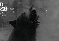 Letní kino - Medvěd na koksu