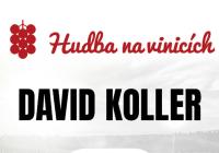 David Koller- Vinařství Sonberk - Hudba na vinicích