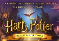 Harry Potter Orchestra Live Tribute