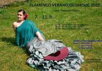 Flamenco verano Olomouc