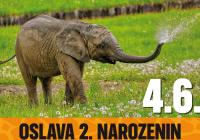 Oslava 2. narozenin Zyqarriho a 20 let chovu slonů