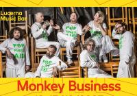 Monkey Business v Praze 