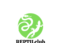 Reptilclub Chomutov - Current programme