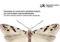 Hmyz, krása a bohatství Českého středohoří