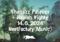 Shabazz Palaces + Haviah Mighty