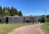 Mimořádná komentovaná prohlídka obranné linie Stachelbergu včetně návštěvy pevnosti