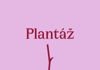 Kulturní plantáž Blatná - Current programme
