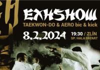 Taekwon-do & aero bic & kick
