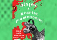 nixies & Kvartet Plamenomet live