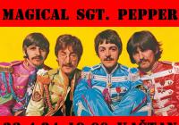 Vítek Novák – The Beatles: Magical Sgt. Pepp