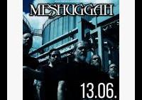 Meshuggah (SWE)