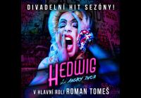 Hedwig a její Angry Inch Anatomicky nekorektní rocková show