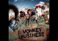 Monkey Business Dobytek nádhernej tour