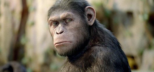 Co možná nevíte: 11 největších zajímavostí původní Planety opic