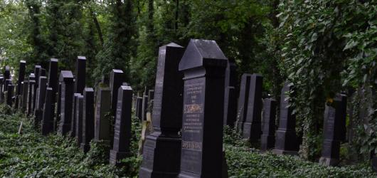 Toulky po hřbitovech: Nový židovský hřbitov na pražských Olšanech
