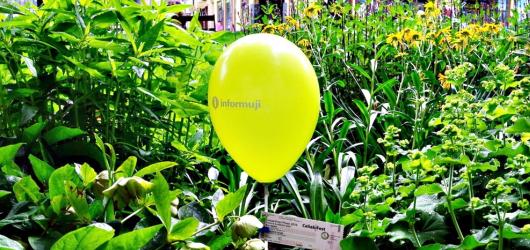 CeliakiFest zpestřil odpoledne v plzeňských parcích. Rozdával balónky i volné vstupenky 