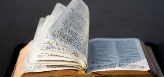 Co číst, když nechcete číst Bibli. Tipy na knihy o Písmu svatém pro dospělé i děti
