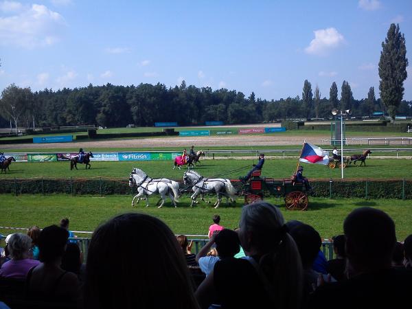 Pardubicemi se prohnali Koně v akci