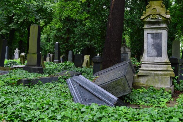 Toulky po hřbitovech: Nový židovský hřbitov na pražských Olšanech