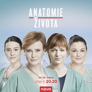 Anatomie života (TV seriál)