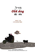 Starý pes